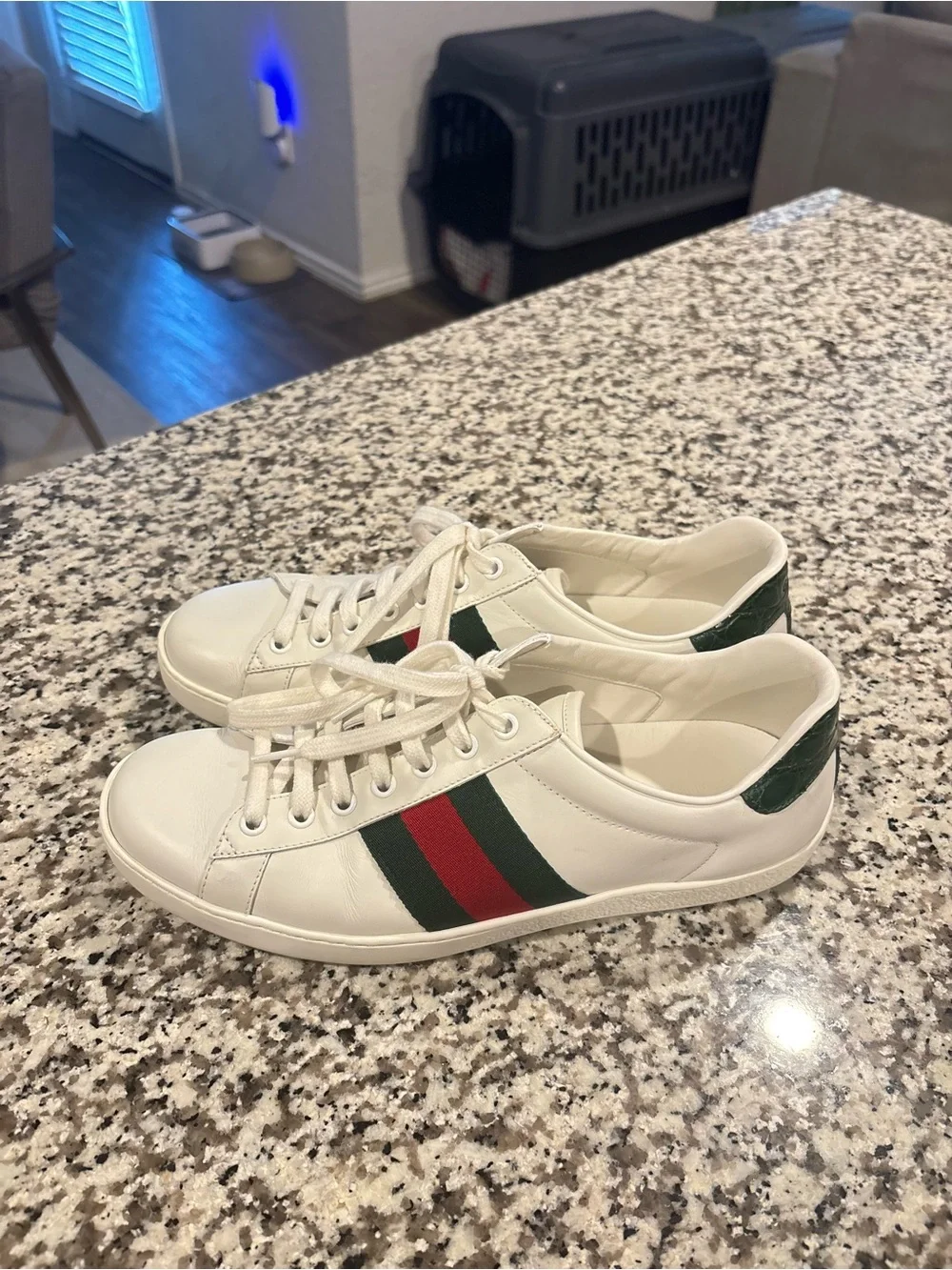 Gucci White Leather Sneakers | White | 7